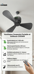 Ventilateur de plafond