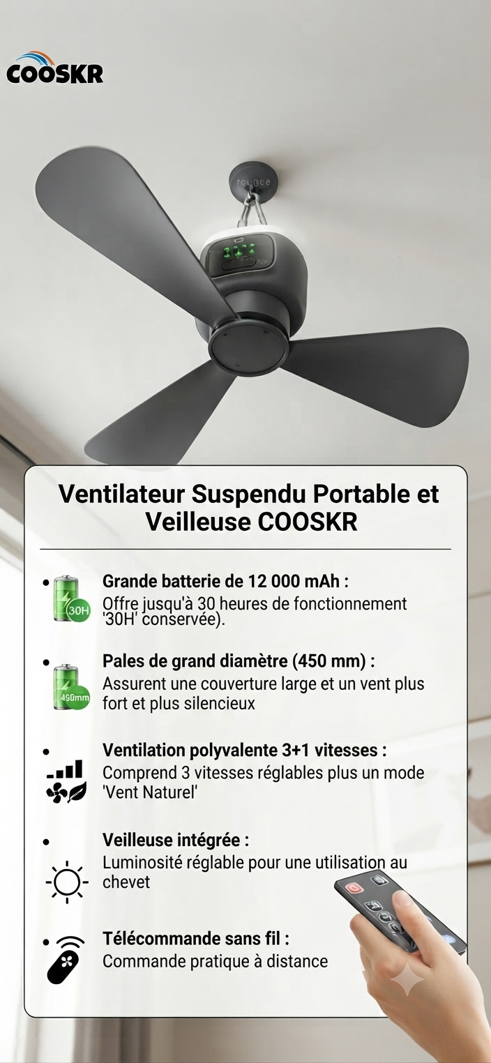 Ventilateur de plafond